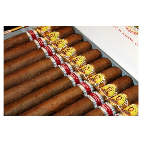 Sigaro Cubano Bolivar Emperador – Russia 2011