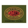 FLOR DE CANO